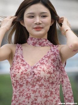 ѡƷ NO.3419 ɫ黨ȹ[258P/604M]