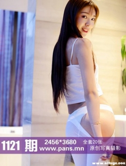 [PANSд] 2019.03.31 NO.1121 СС[20+1P+1V/211M]